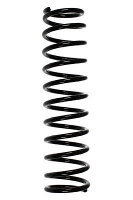 55816