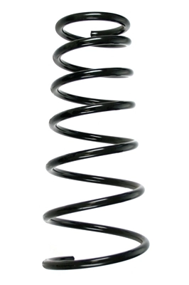 55506