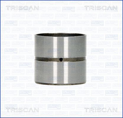80-25005