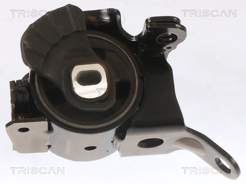 BPA439070