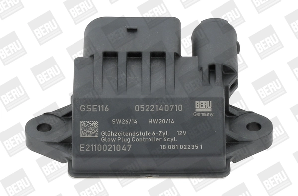 GSE116