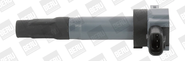 ZSE189