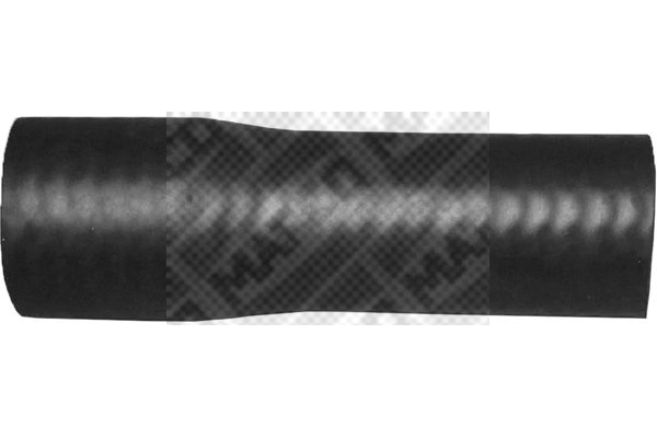 39253