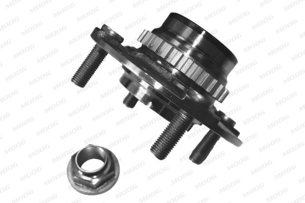 HY-WB-12256