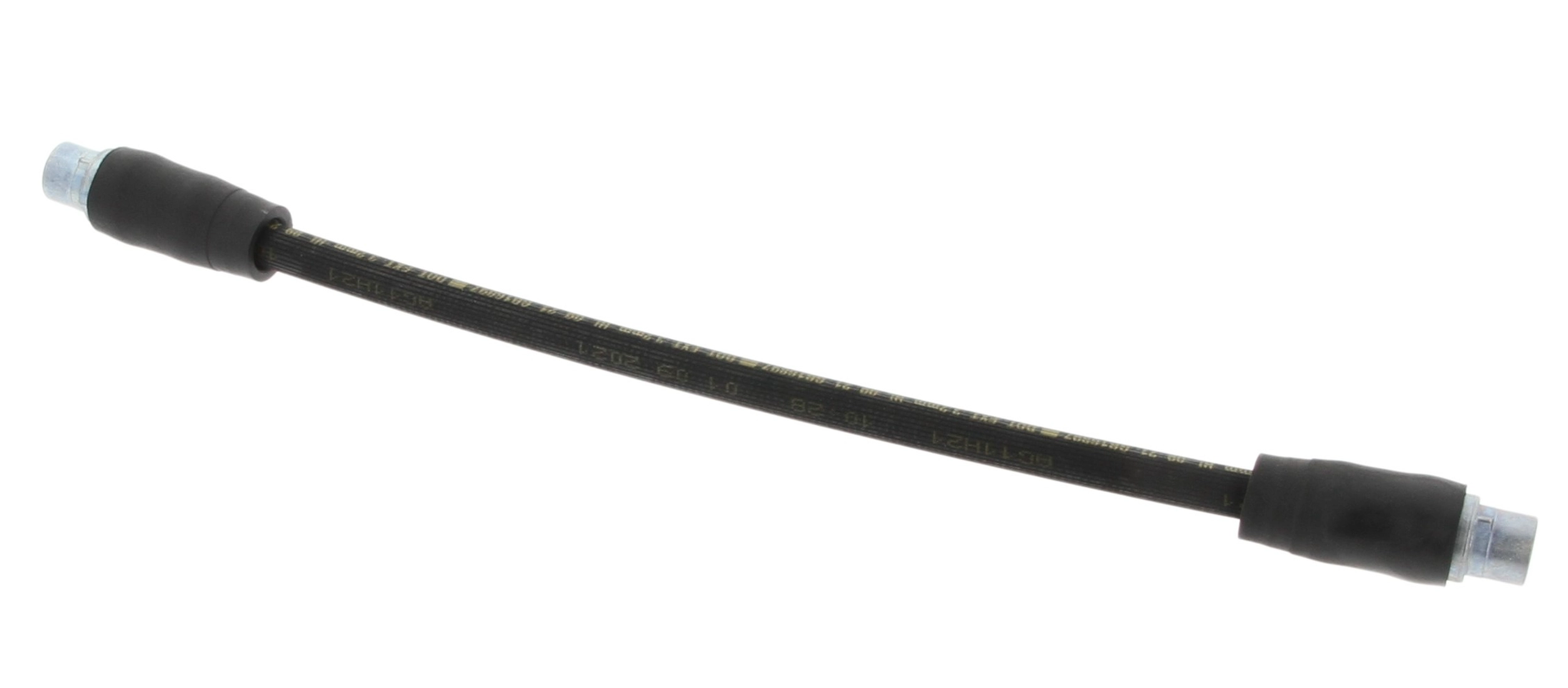 19025845