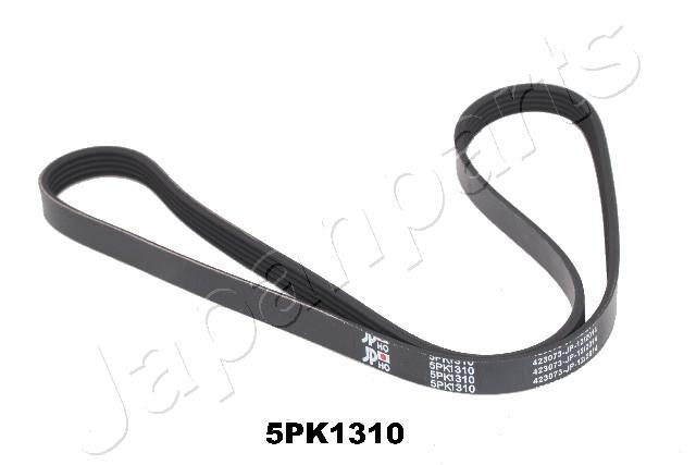DV-5PK1310