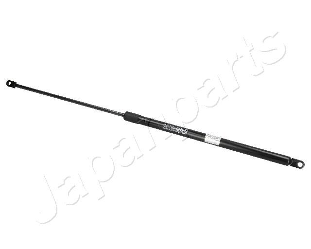 ZS09015