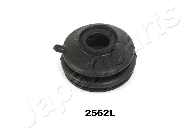 RU-2562L