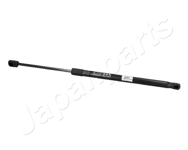 ZS10037