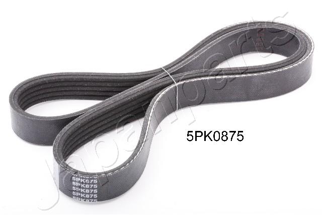 DV-5PK0875