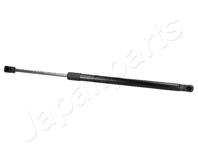 ZS03018
