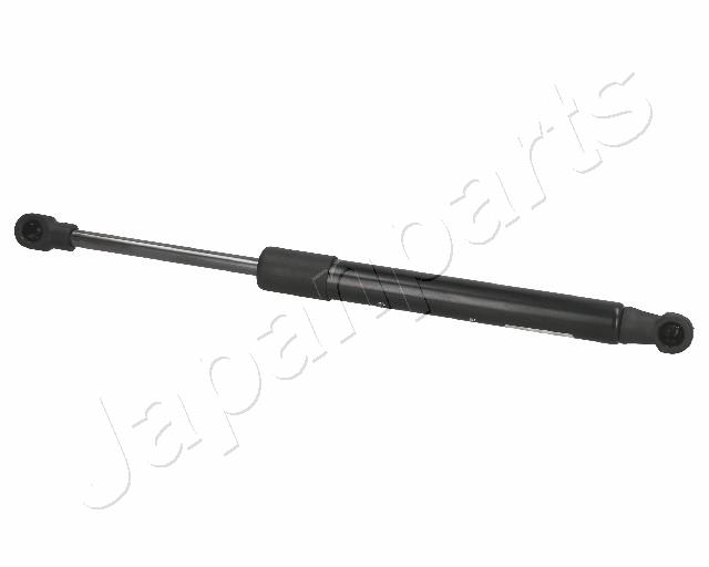 ZS01029