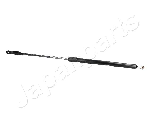 ZS09163