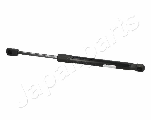ZS06105