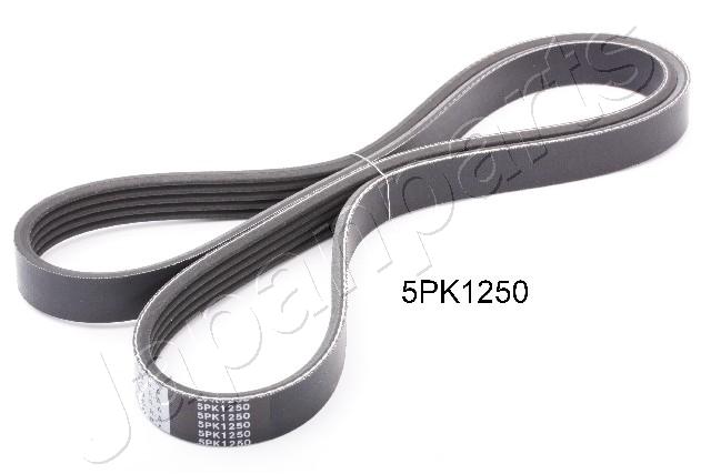 DV-5PK1250