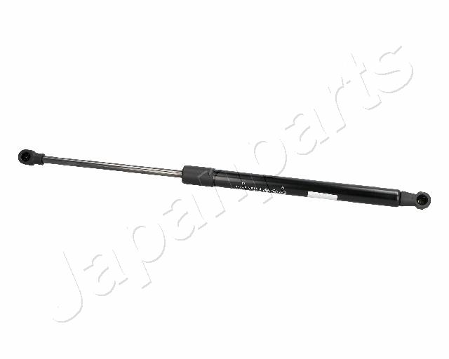 ZS06019