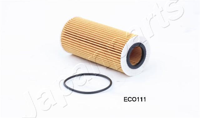FO-ECO111