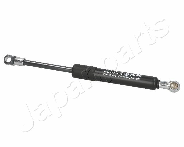 ZS01020