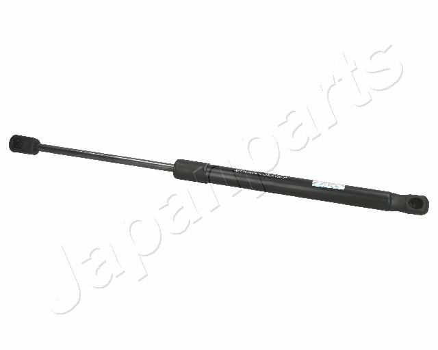 ZS10022