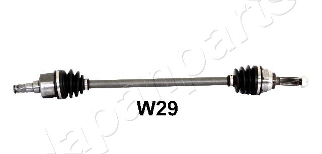GI-W29