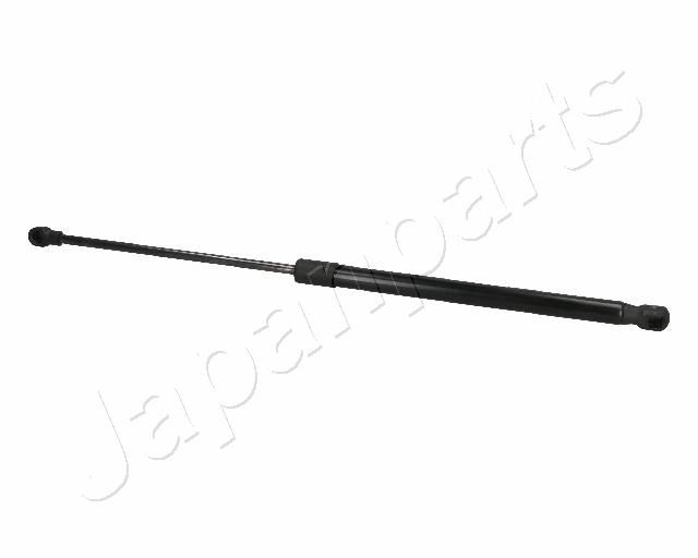 ZS06093