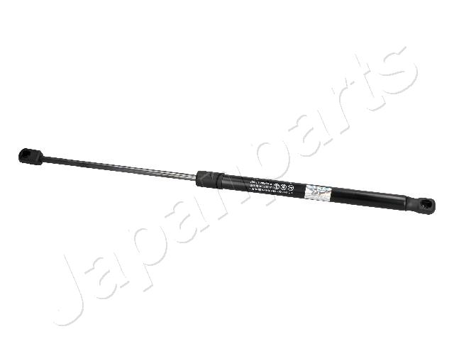 ZS09175
