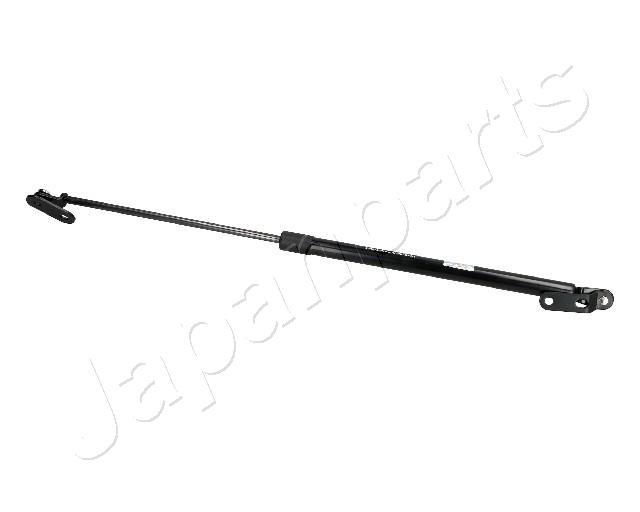 ZS10015