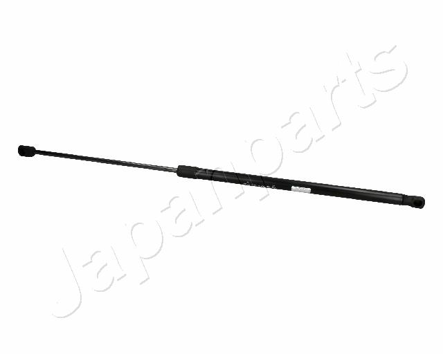 ZS06031