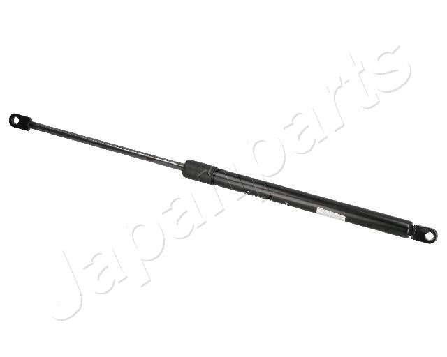 ZS09018