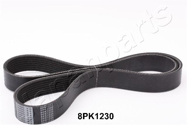 DV-8PK1230