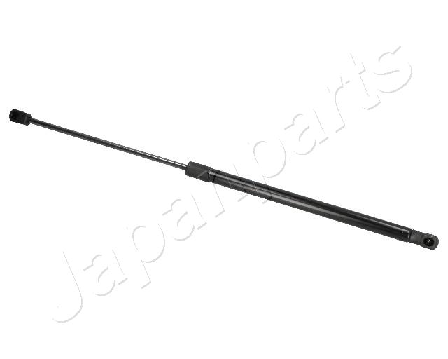 ZS07006