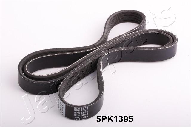 DV-5PK1395
