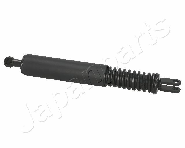 ZS01037