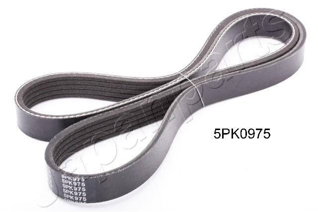 DV-5PK0975