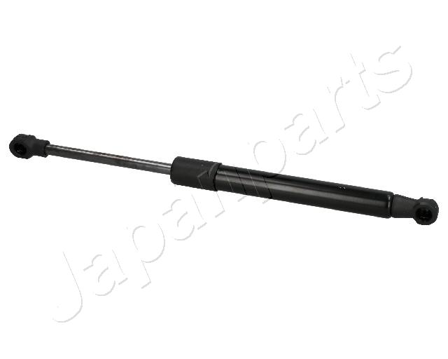 ZS02039