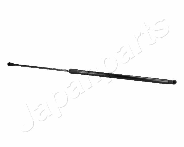 ZS06077