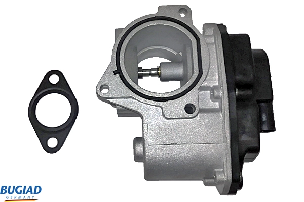 BGR13009