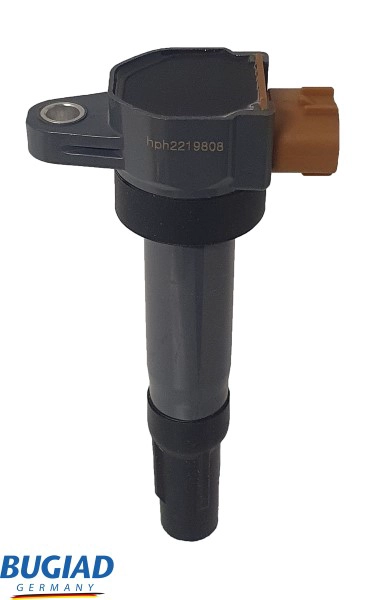 BIC19808