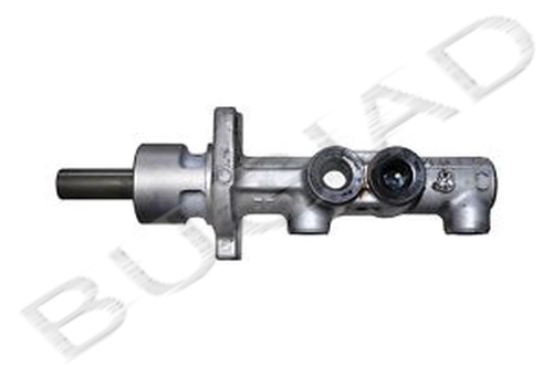 BSP22161