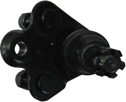 JBJ7562