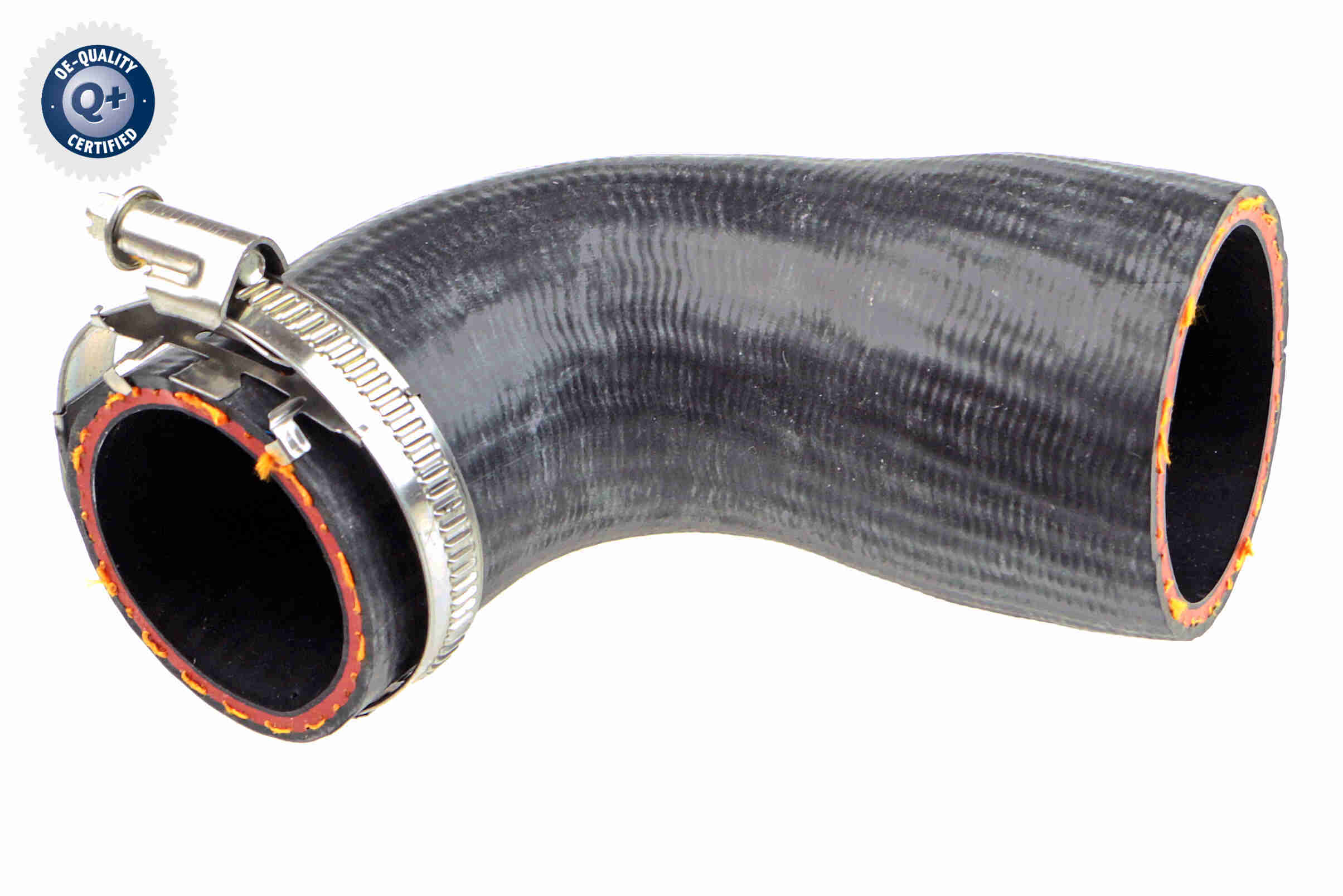 V10-1793