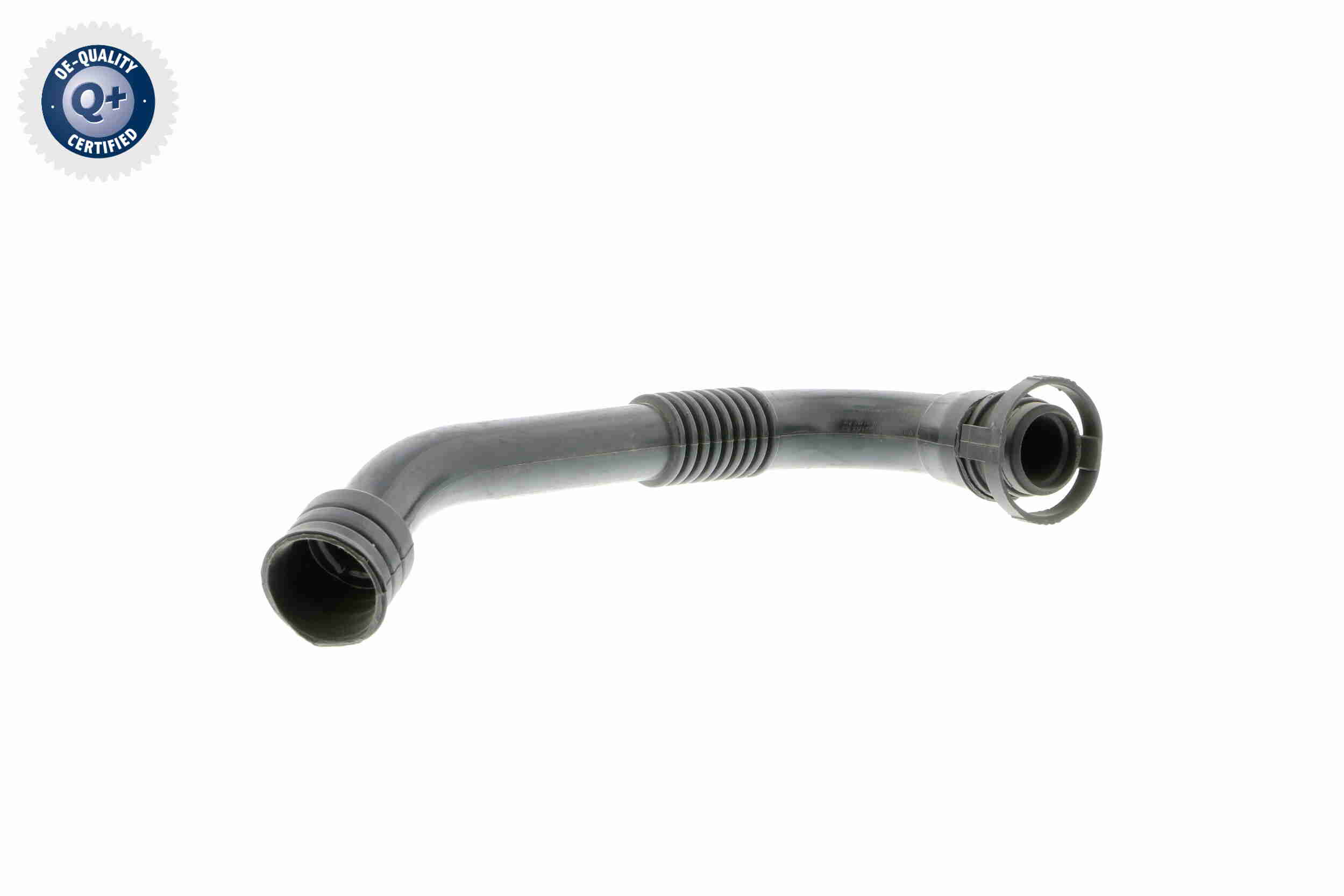 V10-2941