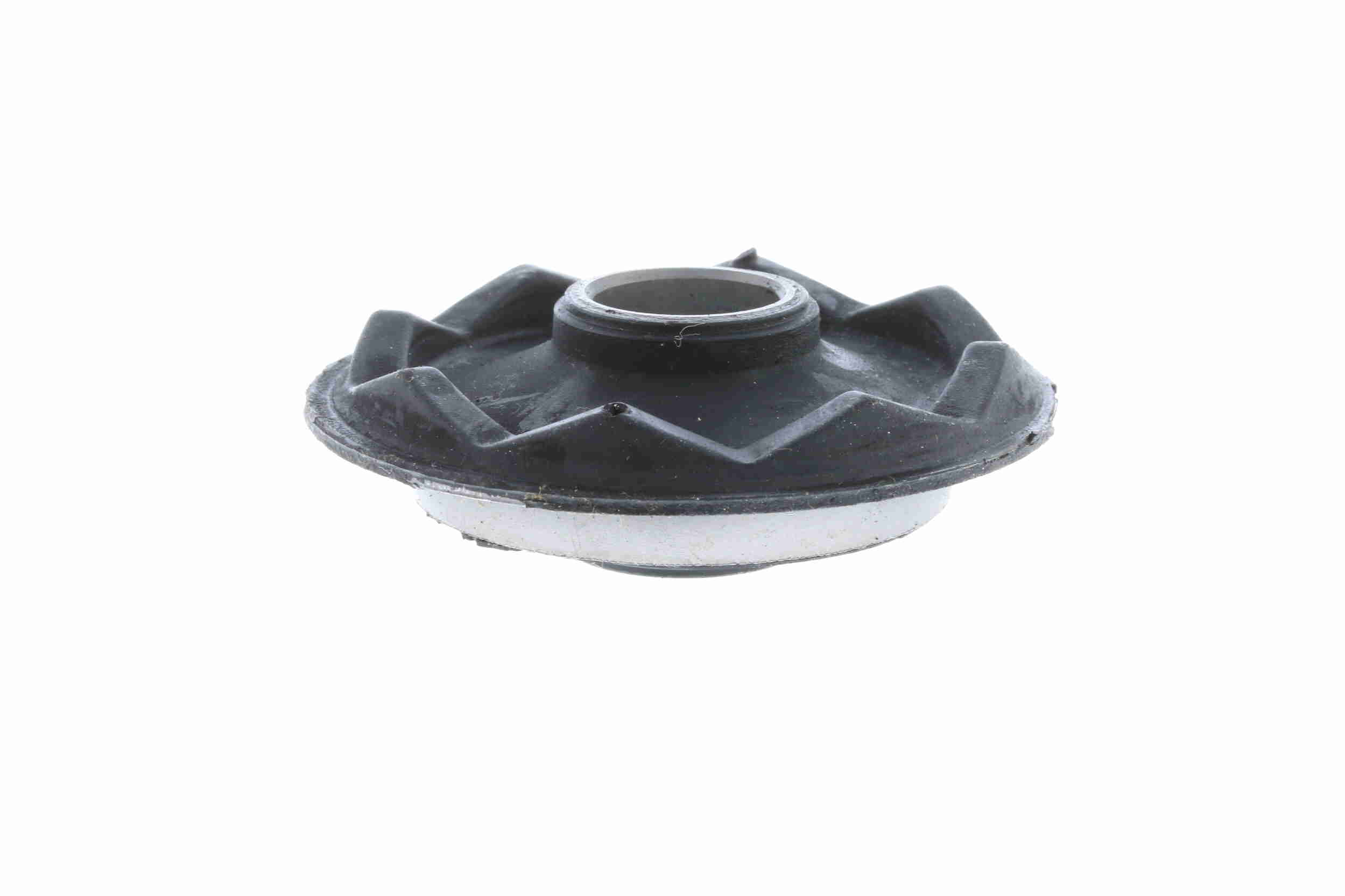 V25-0075