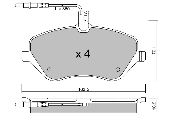 BPPE-1011
