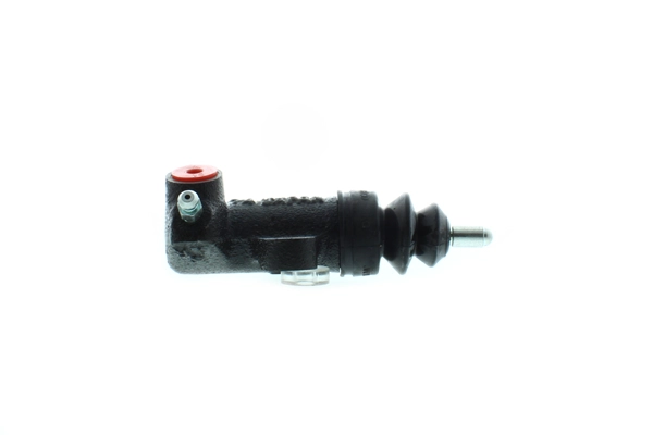 RN-019