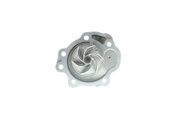 WPS-055V