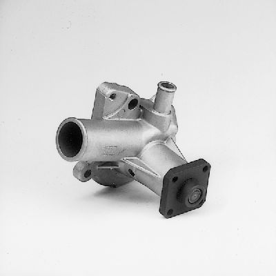 P206