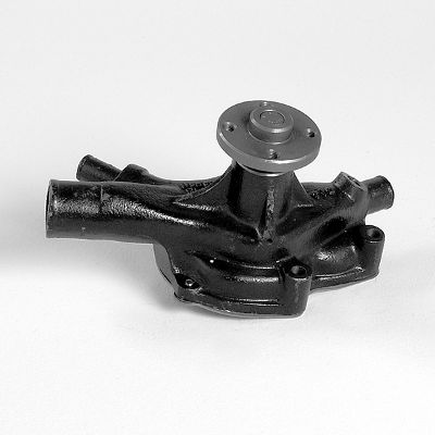 P7919