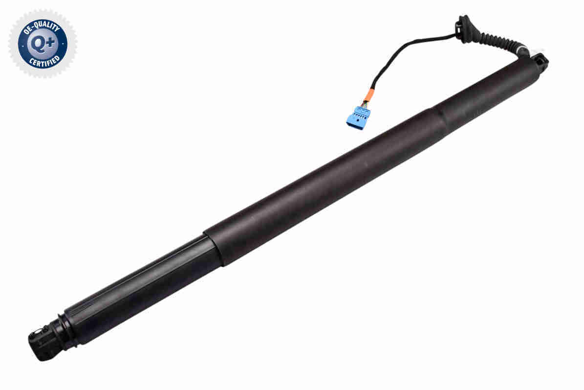 V20-55-0012