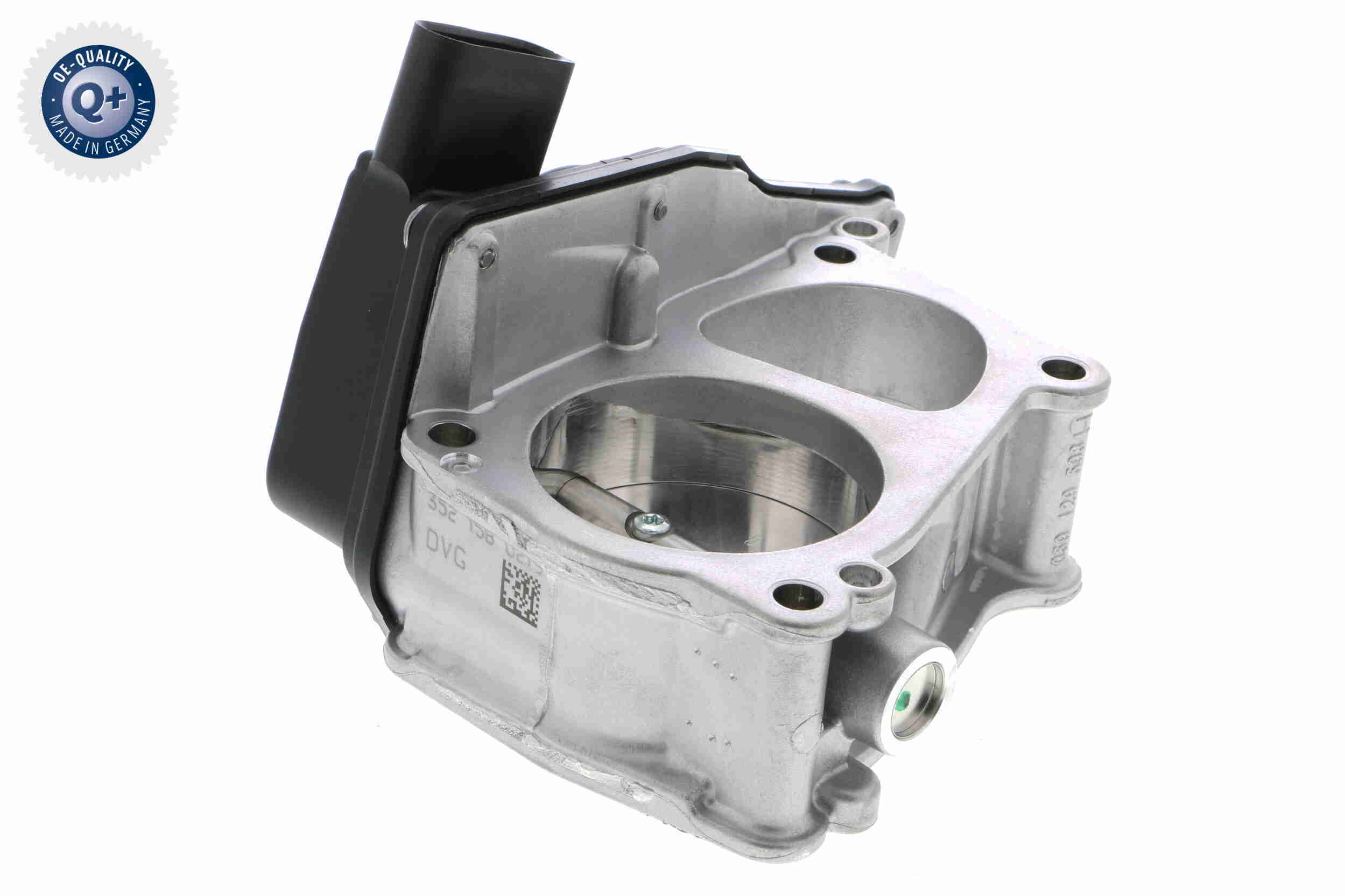 V10-81-0087